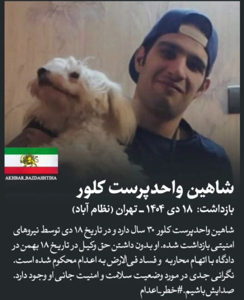 تصویر شاهین واحدپرست کلور در پرونده هیومن این چین
