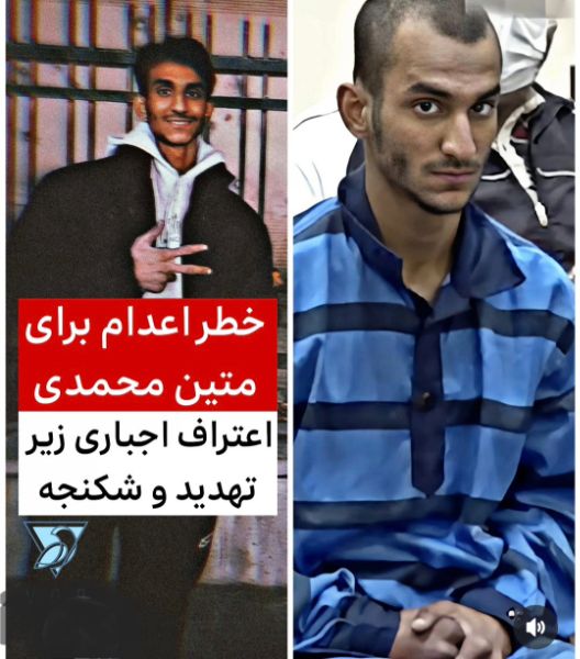 پرونده مریم هداوند و سه هم پرونده ای او در هیومن این چین